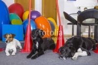 fotolia_80686655.jpg